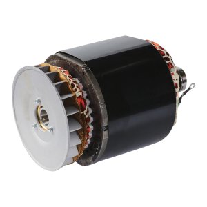 Альтернатор в сборе (ротор+статор) для DS 5500 A ES (641694) Альтернатор в сборе (ротор+статор) для DS 5500 A ES (641694)