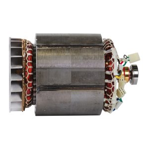 Альтернатор в сборе (ротор+статор) для DS 7000 DA ES (641695) Альтернатор в сборе (ротор+статор) для DS 7000 DA ES (641695)